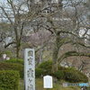 DS7_5066