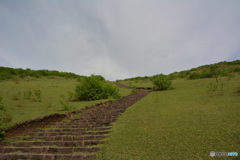 DC8_5356