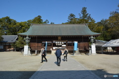 DS7_7098