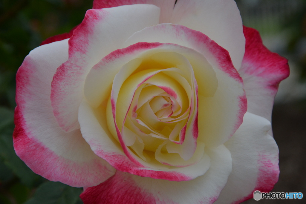 DS7_5526