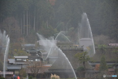 DC8_2319