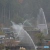 DC8_2319