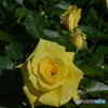DS7_8179