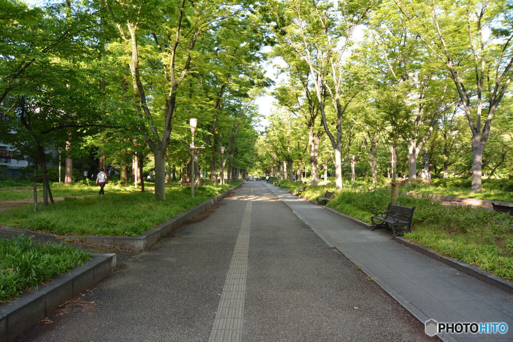 DC8_8591