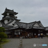 DS7_8496
