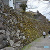 DS7_5099