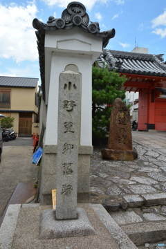 DS7_8853