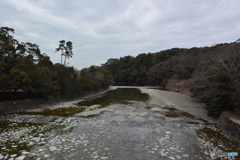 DS7_9742