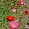 DS7_8191