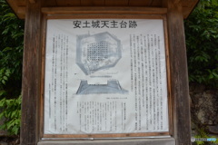 DC8_7239