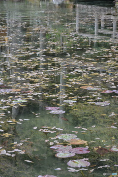 DS7_7995