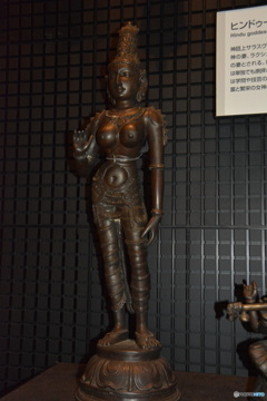 DC8_8395