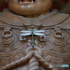 DS7_6562