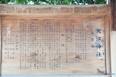 DSA_2294