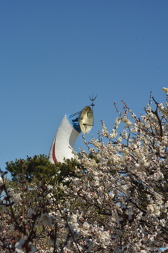 DC8_8465