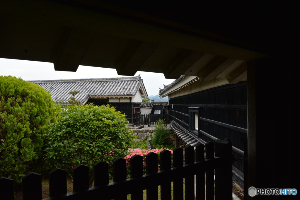 DS7_8484