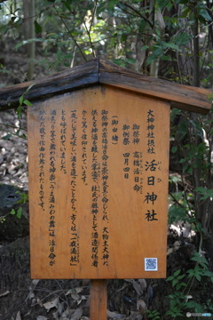 DS7_9028