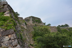 DS7_6104