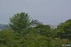 DC8_1124