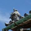 DS7_8780