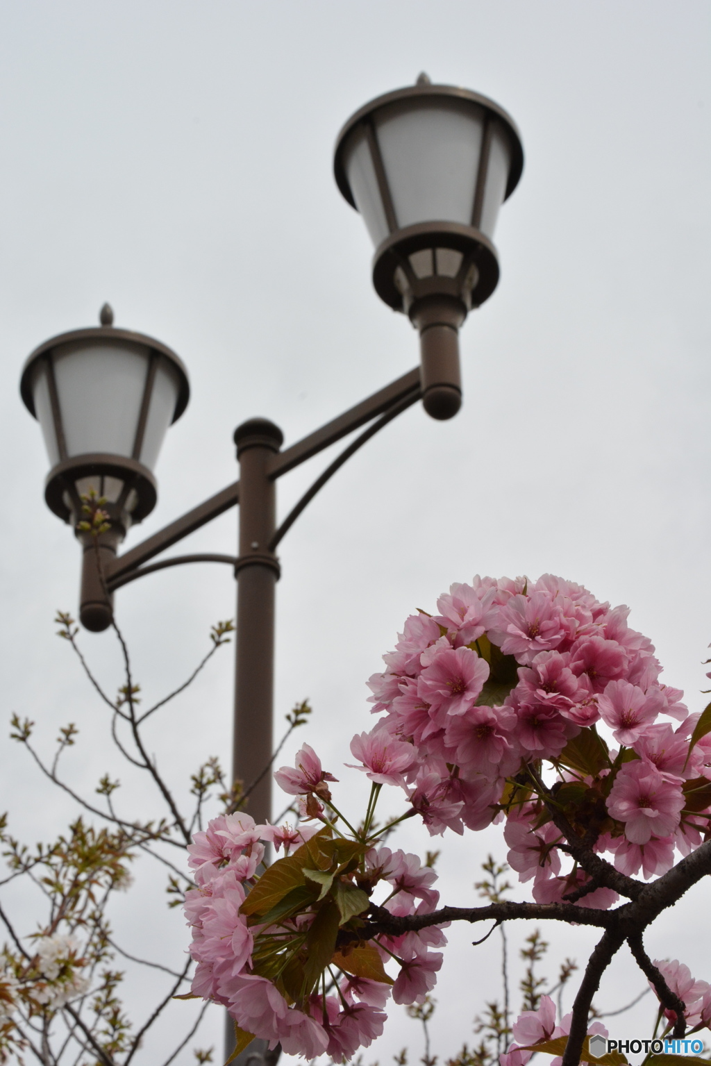 DS7_5244