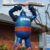 DS7_9830