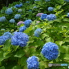 DS7_3204