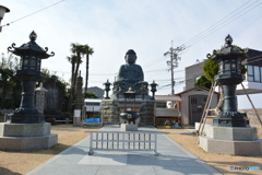 DS7_9783