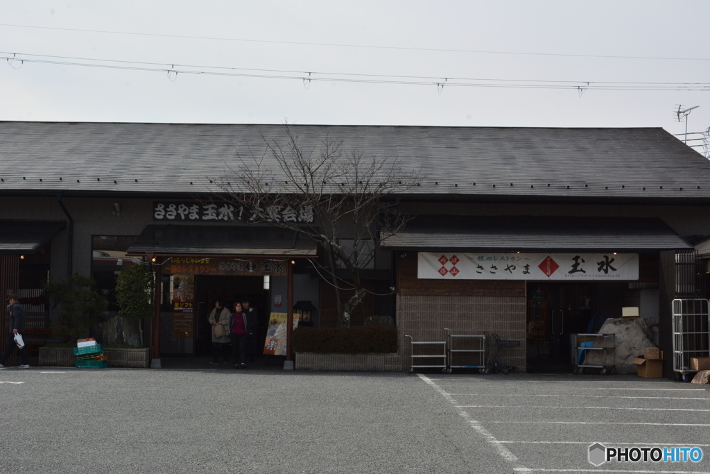 DS7_9915