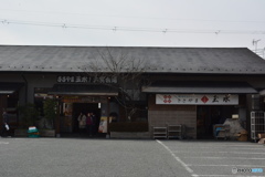 DS7_9915