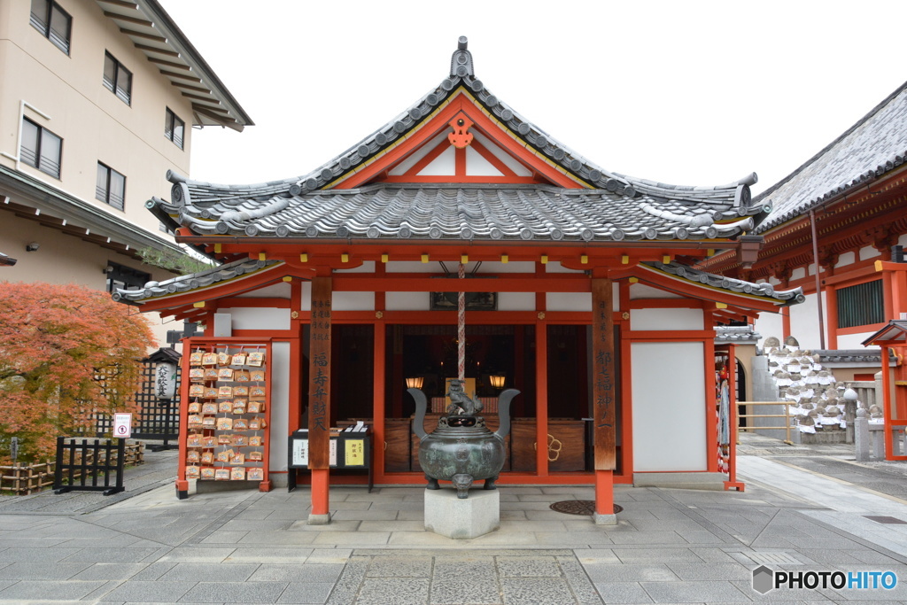 DS7_7007