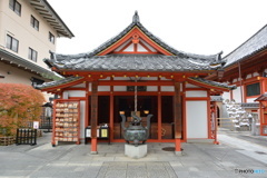 DS7_7007