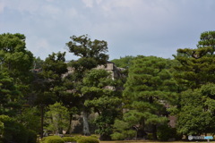 DC8_3742