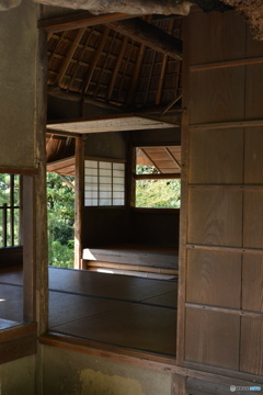 DS7_6530