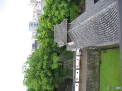137-3707_IMG