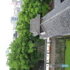137-3707_IMG