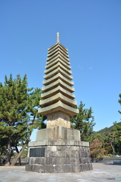 DC8_7807