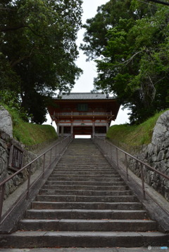 DS7_3123