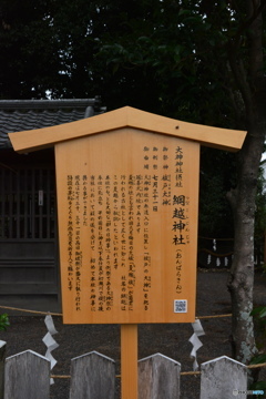 DS7_9082