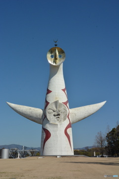 DC8_8274