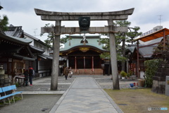 DS7_7000