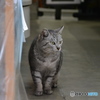 DS7_9796
