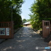 DS7_8706