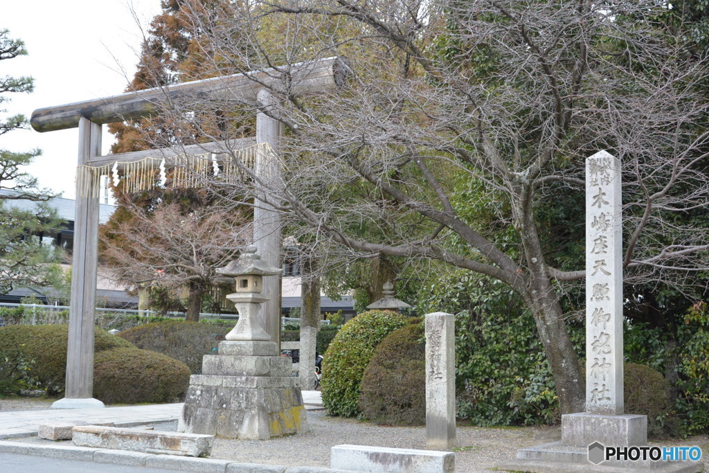 DS7_4921