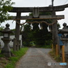 DS7_5829