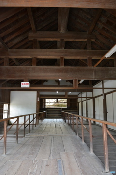 DS7_8423