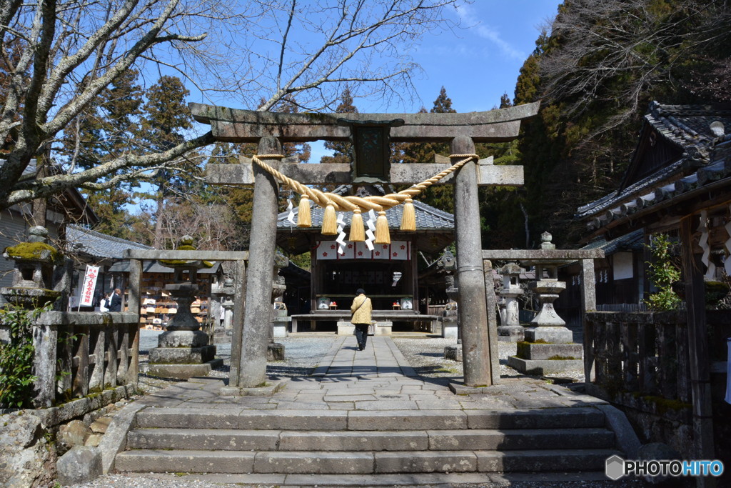 DS7_9890