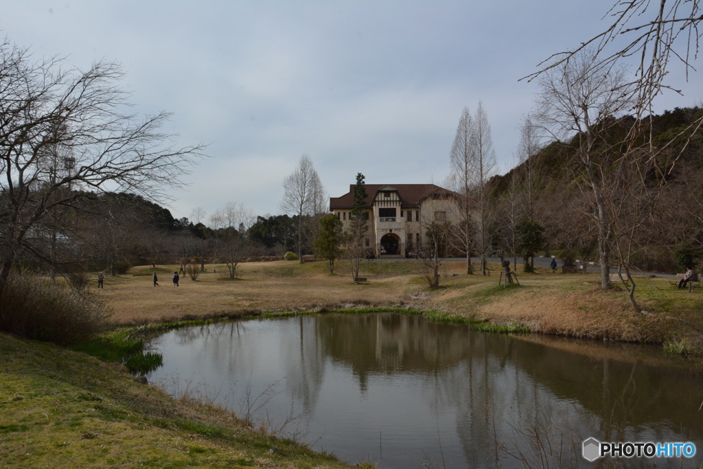 DS7_9942
