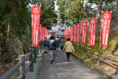DS7_9919