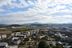 DSA_3226